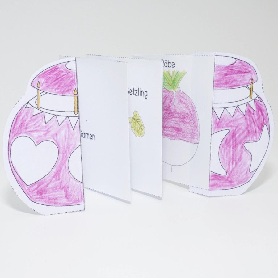 Ausgebreitetes Bastel-Leporello mit rosa ausgemalten Räben für das Räbenlichthi in der Schweiz